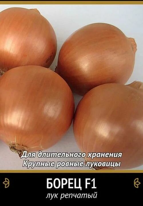 Коллекционные семена лука репчатый F1 Борец