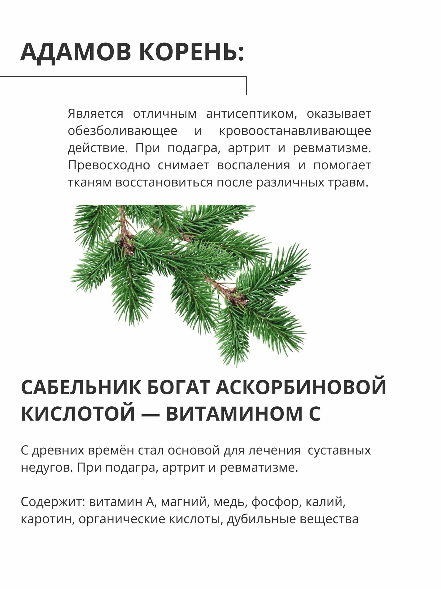 Изображение Мазь № 7 пихтовая для суставов при артрите и радикулите, остеохандрозе 40мл
