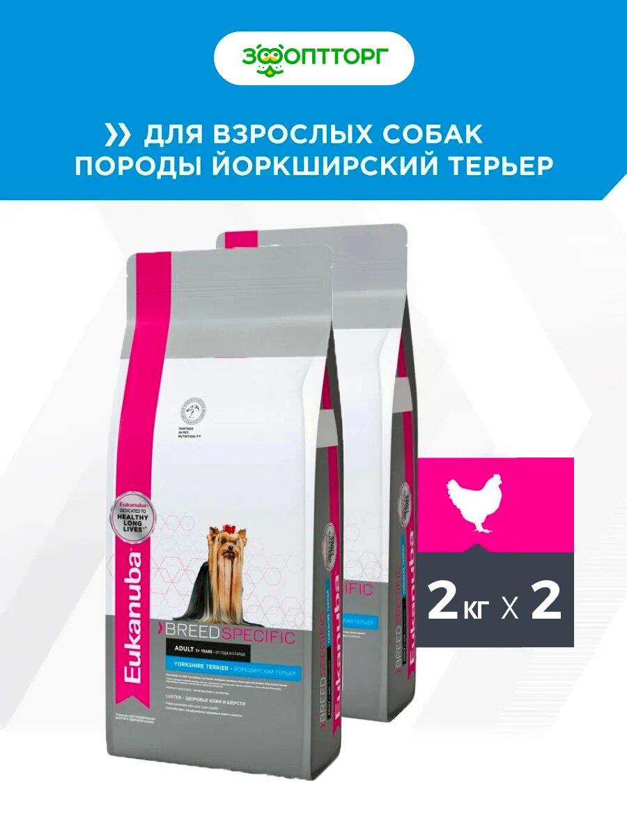Сухой корм Eukanuba Dog Adult для собак породы йоркширский терьер Курица и индейка, 2 кг х 2 шт.