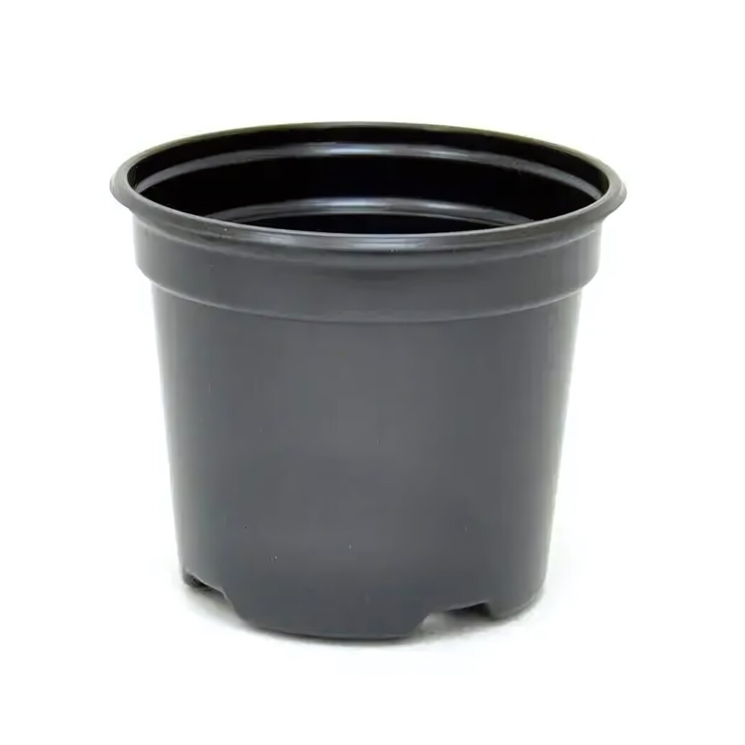 Горшок для рассады с дренажными отверстиями  пластиковый  11х8 5 см  черный