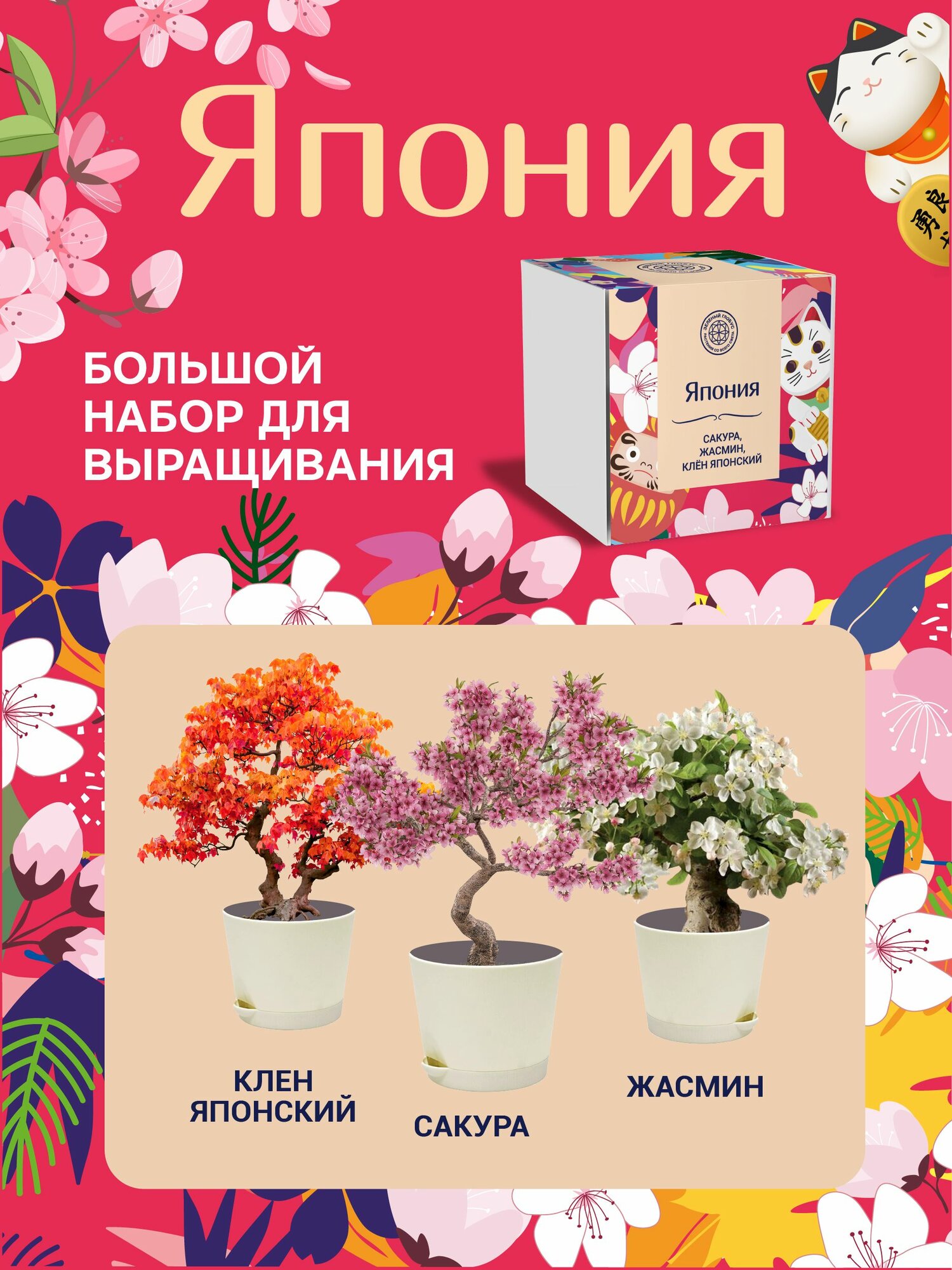 Набор для выращивания растений Зеленый глобус  Япония  Сакура  Клен  Жасмин 