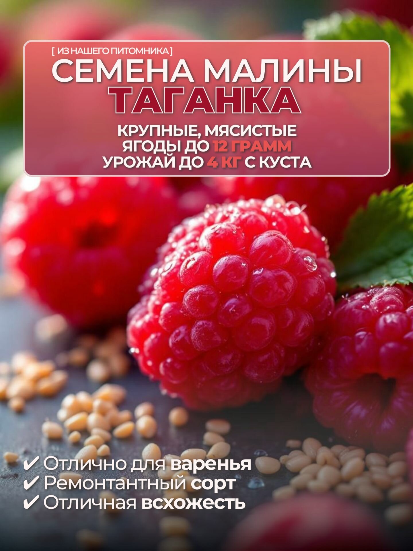 Семена малины Таганка ремонтантная 15 шт.