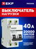 Выключатель нагрузки 40А EKF Basic двухполюсный 2P (рубильник на ...