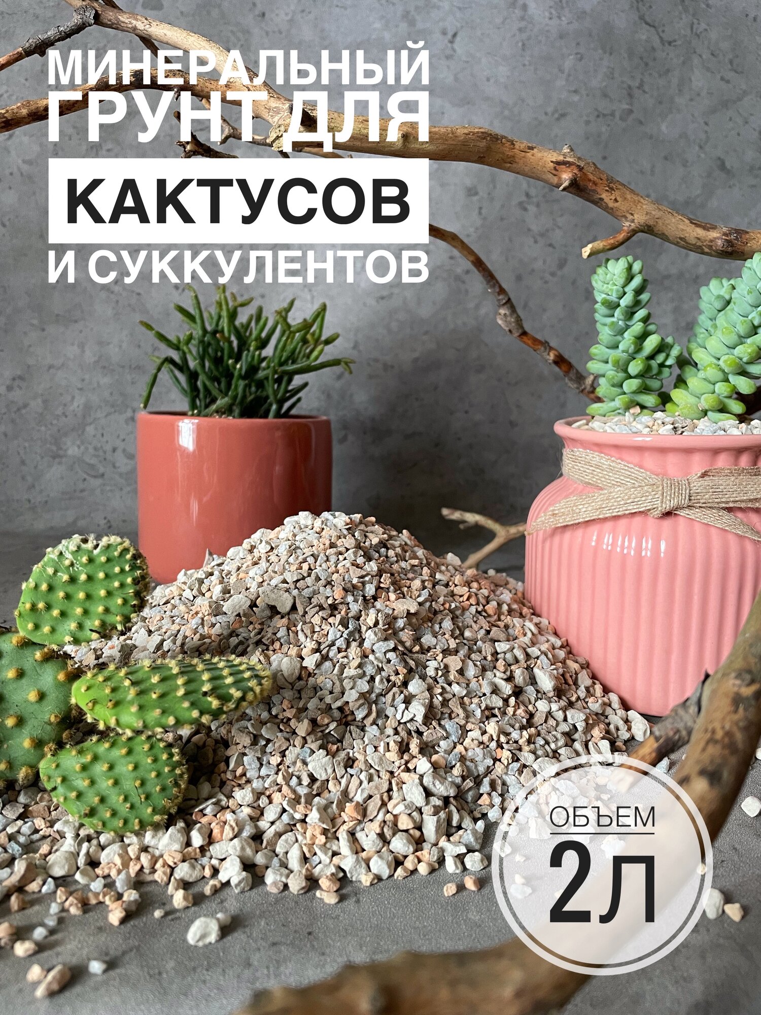 Минеральный грунт для Суккуленов и Кактусов Terracotta Plants 2 литра