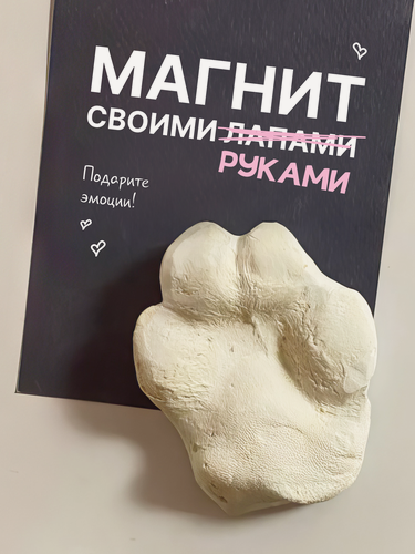 Изображение товара Набор для создания магнита-слепка лапы