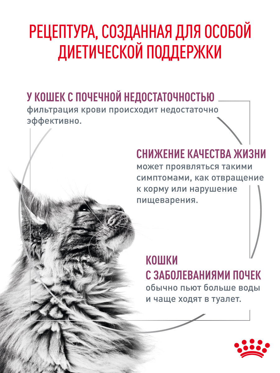 Картинки Сухой корм для кошек Royal Canin Renal при заболеваниях почек, 0,35 кг