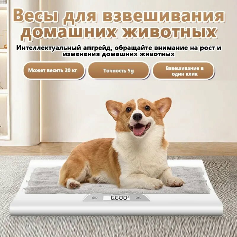 Весы Для Животных 63cm*30cm Самый Высокий 30 Кг HOMELINK MZ83 белое