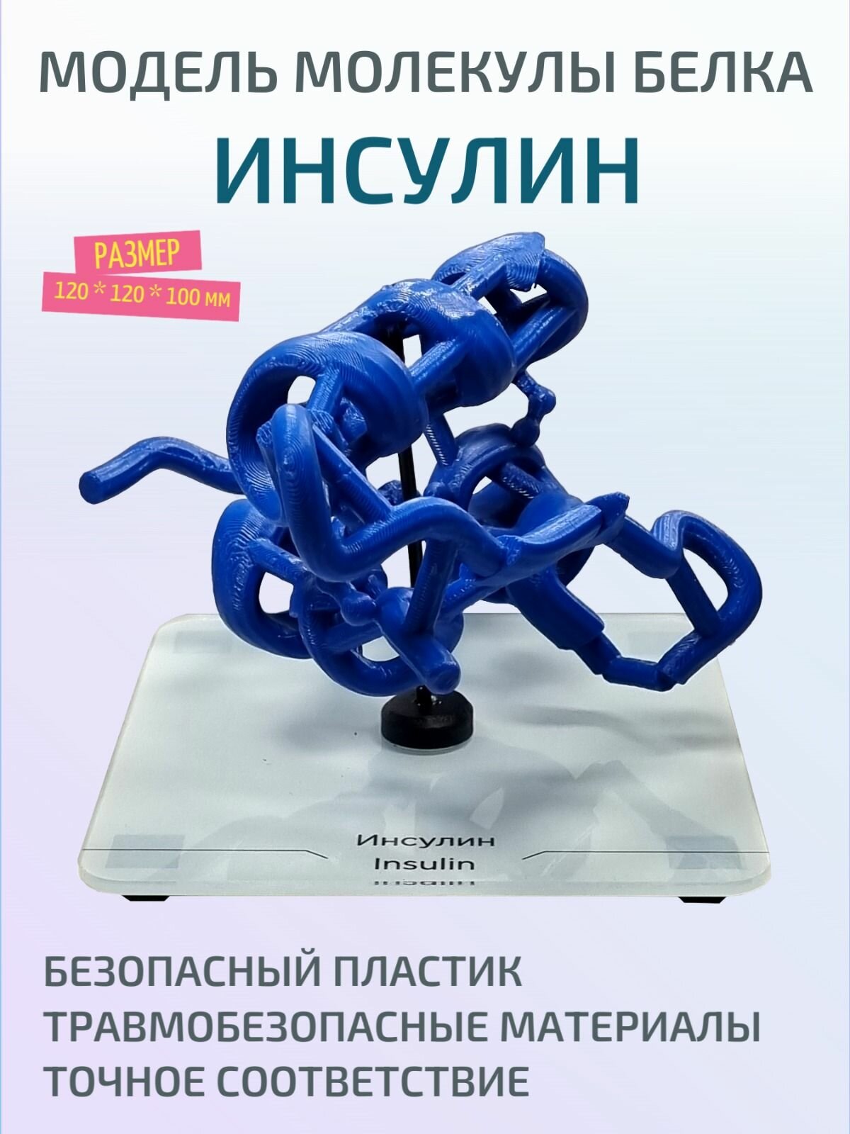 Модель молекулы белка Инсулин
