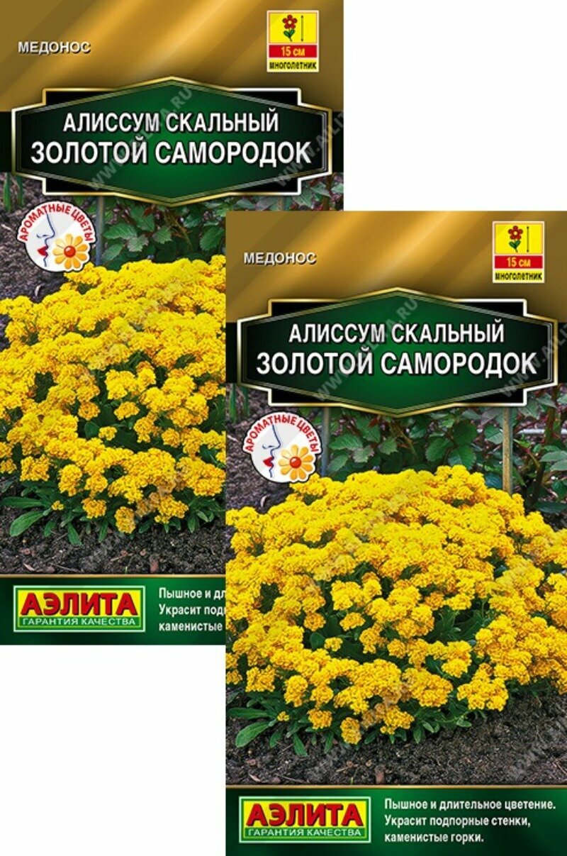Семена Алиссум Золотой самородок (005г) 2 пакета Агрофирма Аэлита