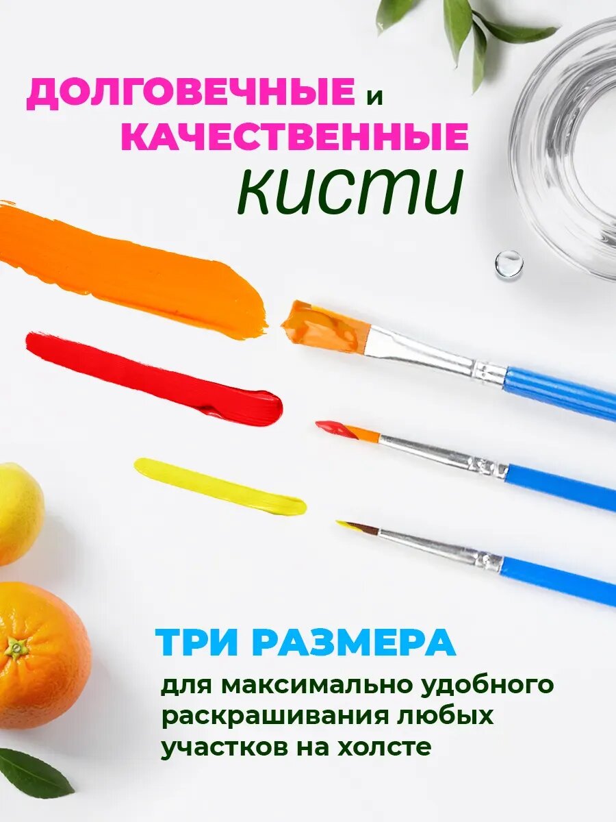 Картина по номерам на холсте с подрамником 40х50 см Мишка Тедди Доллары — фото 1