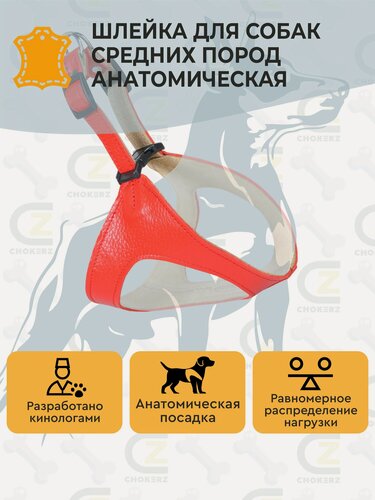 Изображение товара Шлейка для собак средних пород анатомическая (жилетка) кожаная (шея: 36 см; грудь: 45 см)