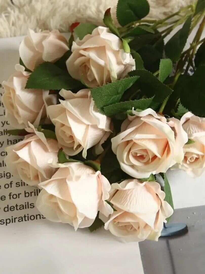 Роза беж 50см 5шт.