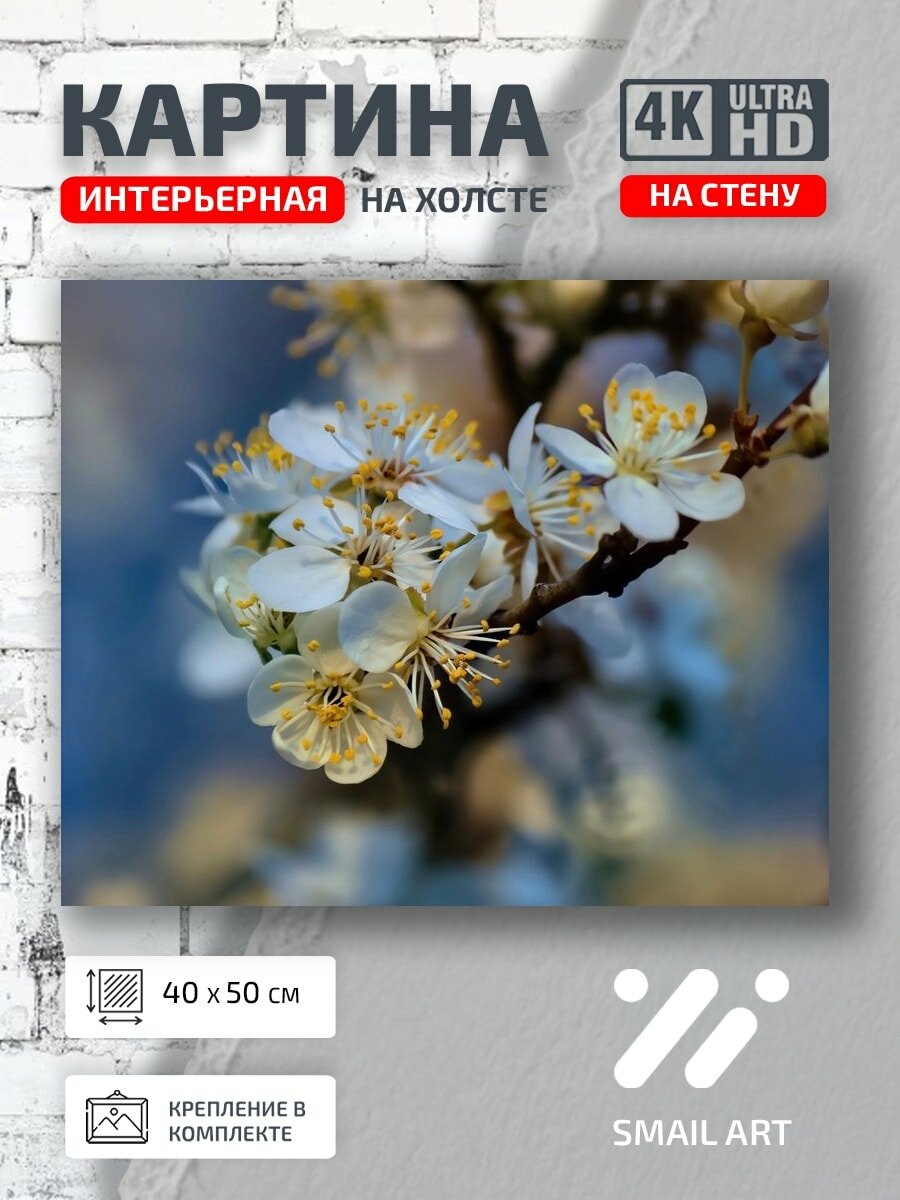 Картина на холсте интерьерная 40 на 50 на стену Макро Цветет-Алыча для спальни атмосфера
