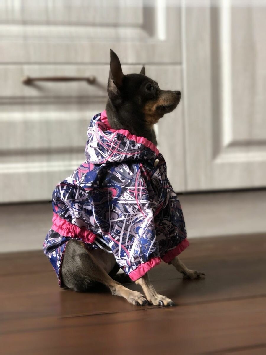 Куртка для собак мелких пород