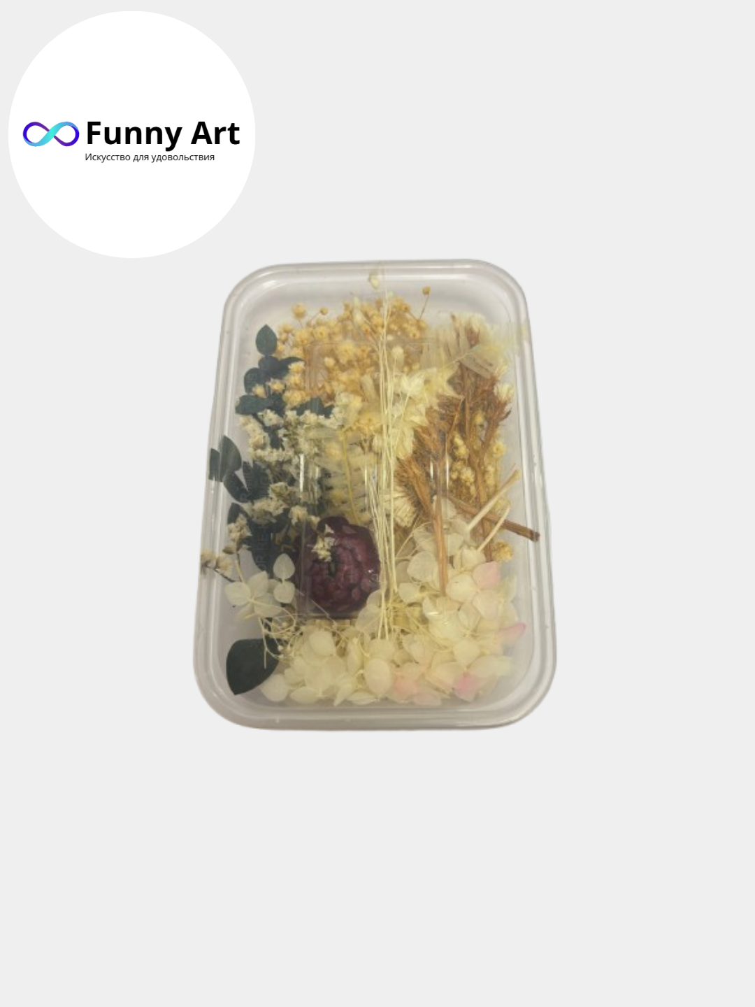 Сухоцветы натуральные для декора и творчества, декоративные цветы, для смолы
