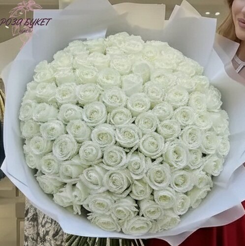 Изображение товара Букет цветов, букет из белых роз 75 шт, шикарный, премиум цветы, премиум букет, долгий букет, долго стоящие, белые розы