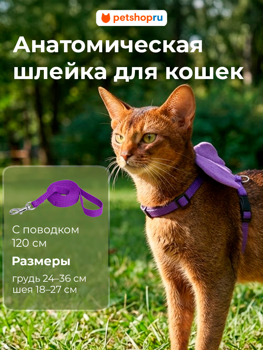 PETSHOP Шлейка с поводком для кошек с крыльями "Ангел", 24-36 см, фиолетовая