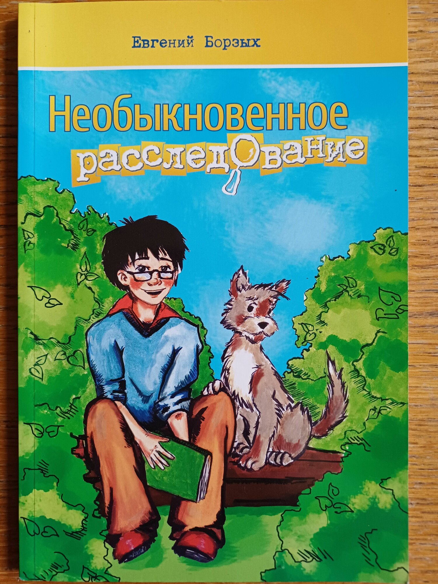 Необыкновенное расследование
