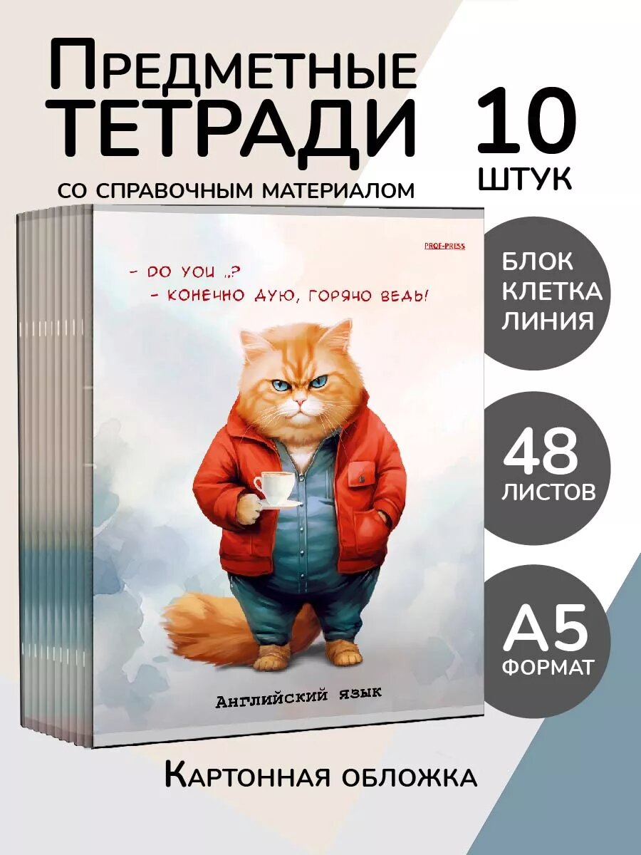 Комплект предметных тетрадей, со справочным материалом, A5, 48 л, 10 шт