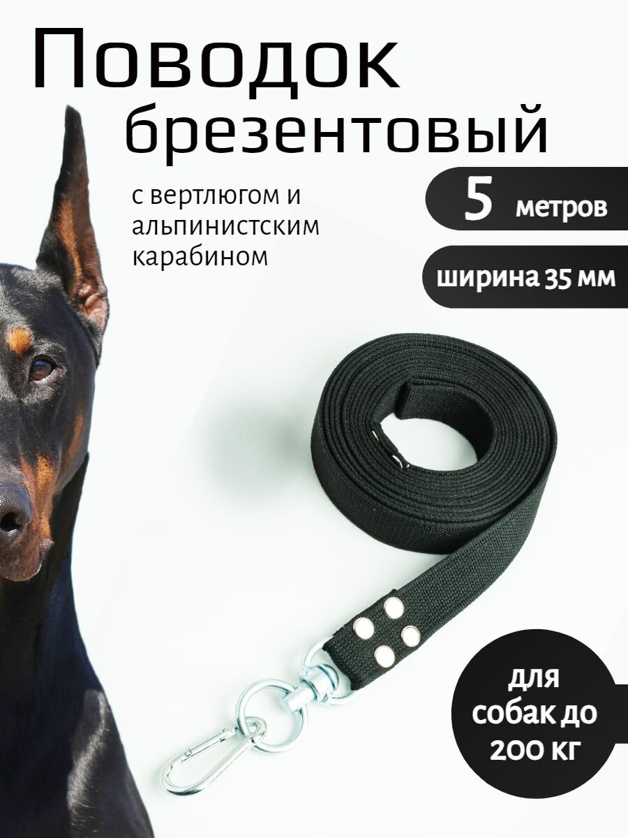 Поводок для собак крупных пород с вертлюгом и альпинистским карабином брезент 5 м х 35 мм (черный)
