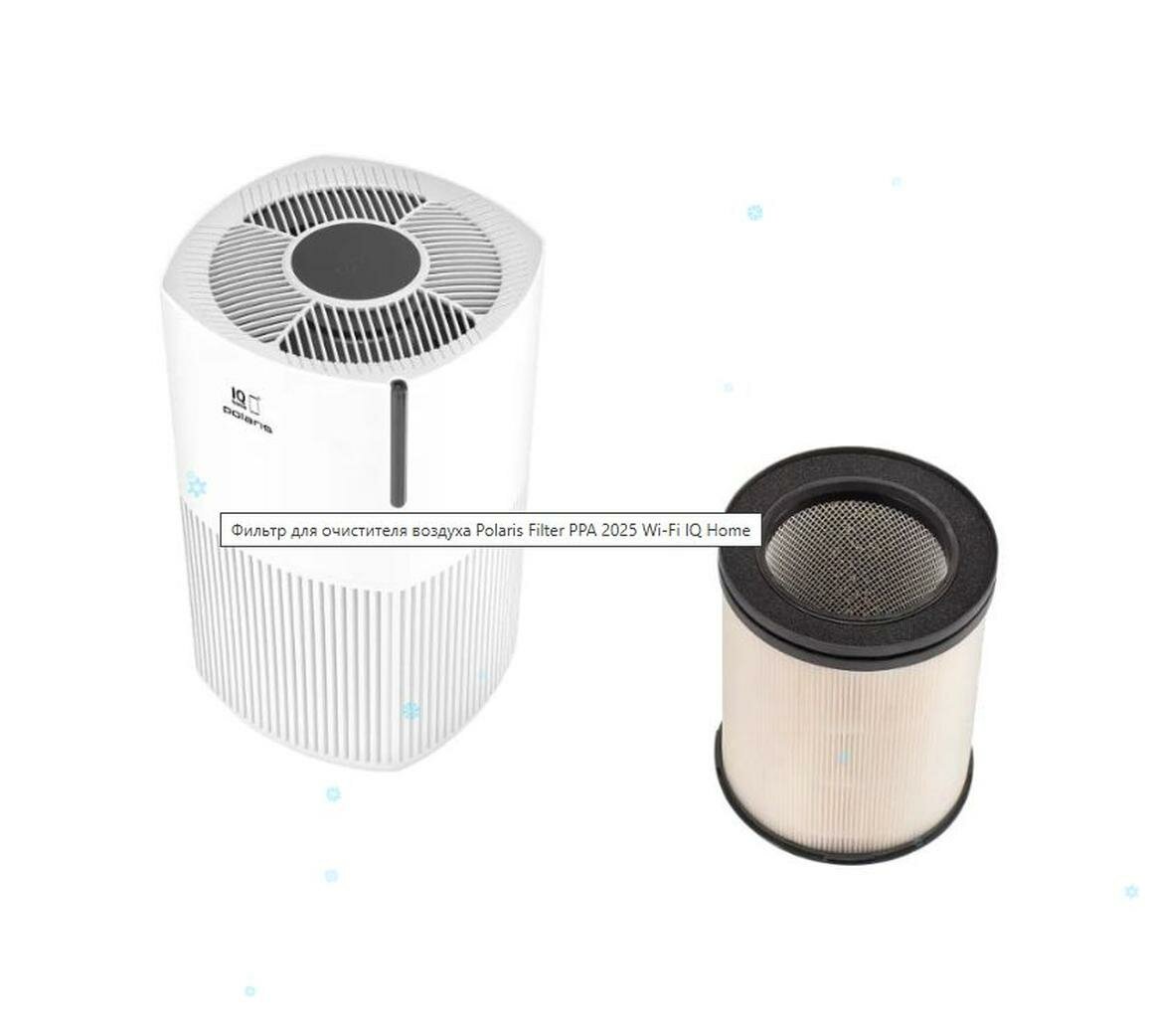 Фильтр для очистителя воздуха POLARIS Filter PPA 2025 WIFI IQ Home, Белый — фото 1