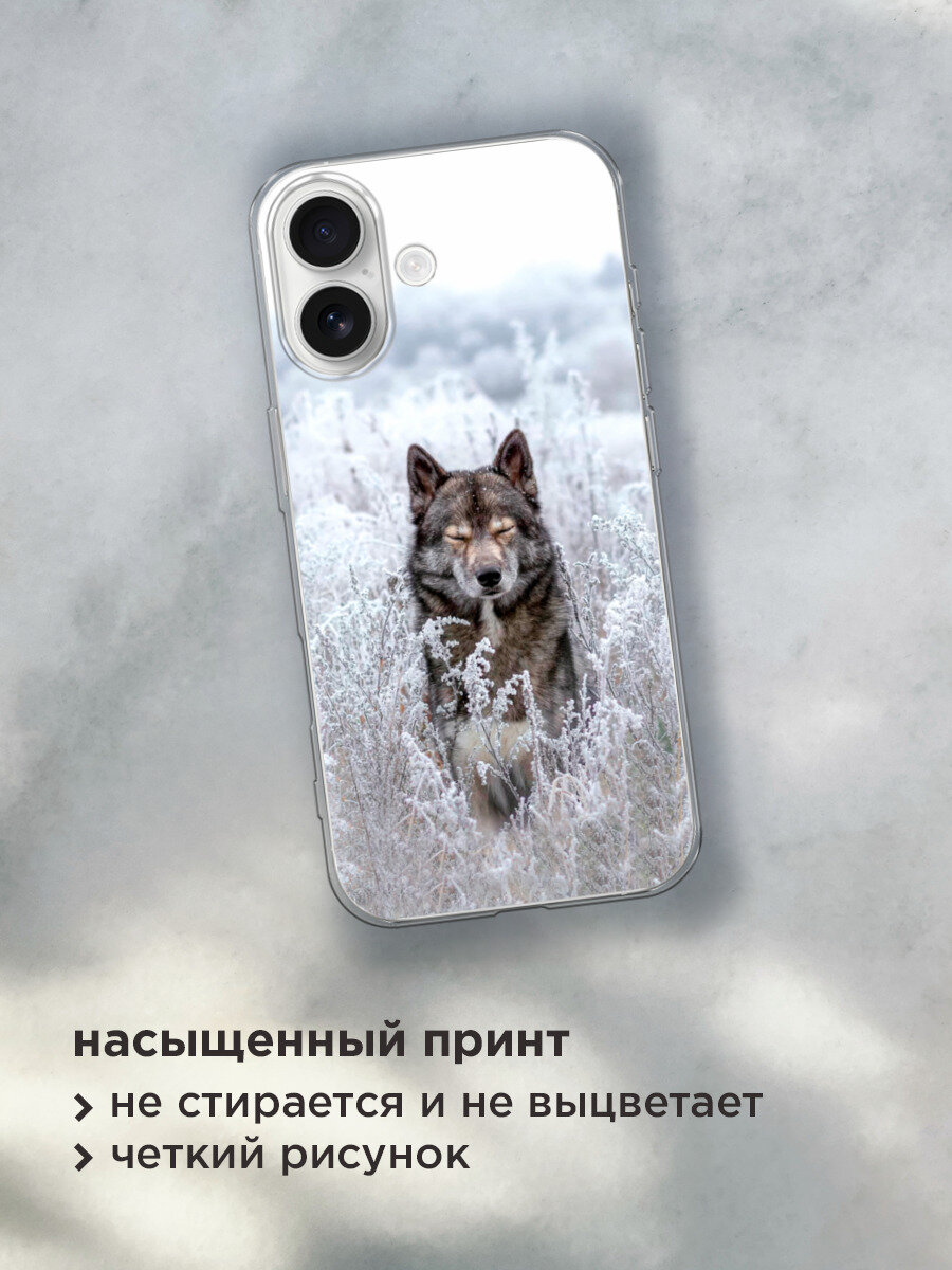 Силиконовый чехол на Apple iPhone 17 / Айфон 17 с принтом Волк в поле — фото 1