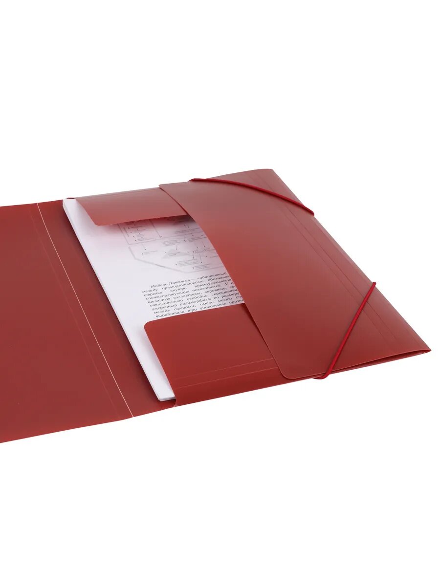 Папка на резинке А4 — фото 1