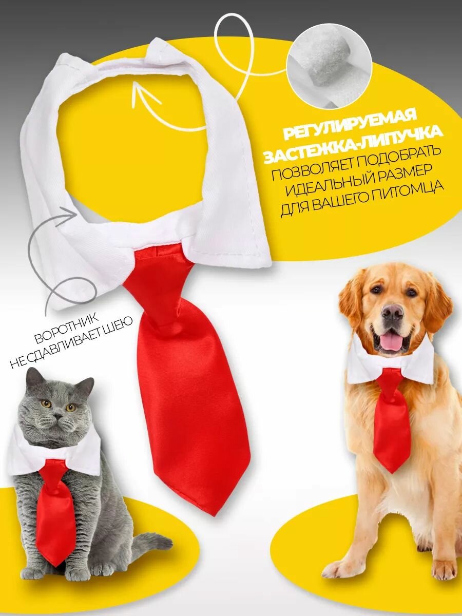 Ошейник с галстуком для животных — фото 1
