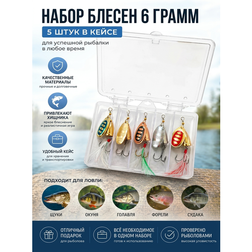 Набор блёсен-вертушек для рыбалки (5 шт, 6 грамм) – универсальные, на щуку, окуня, судака, форель, карпа + кейс