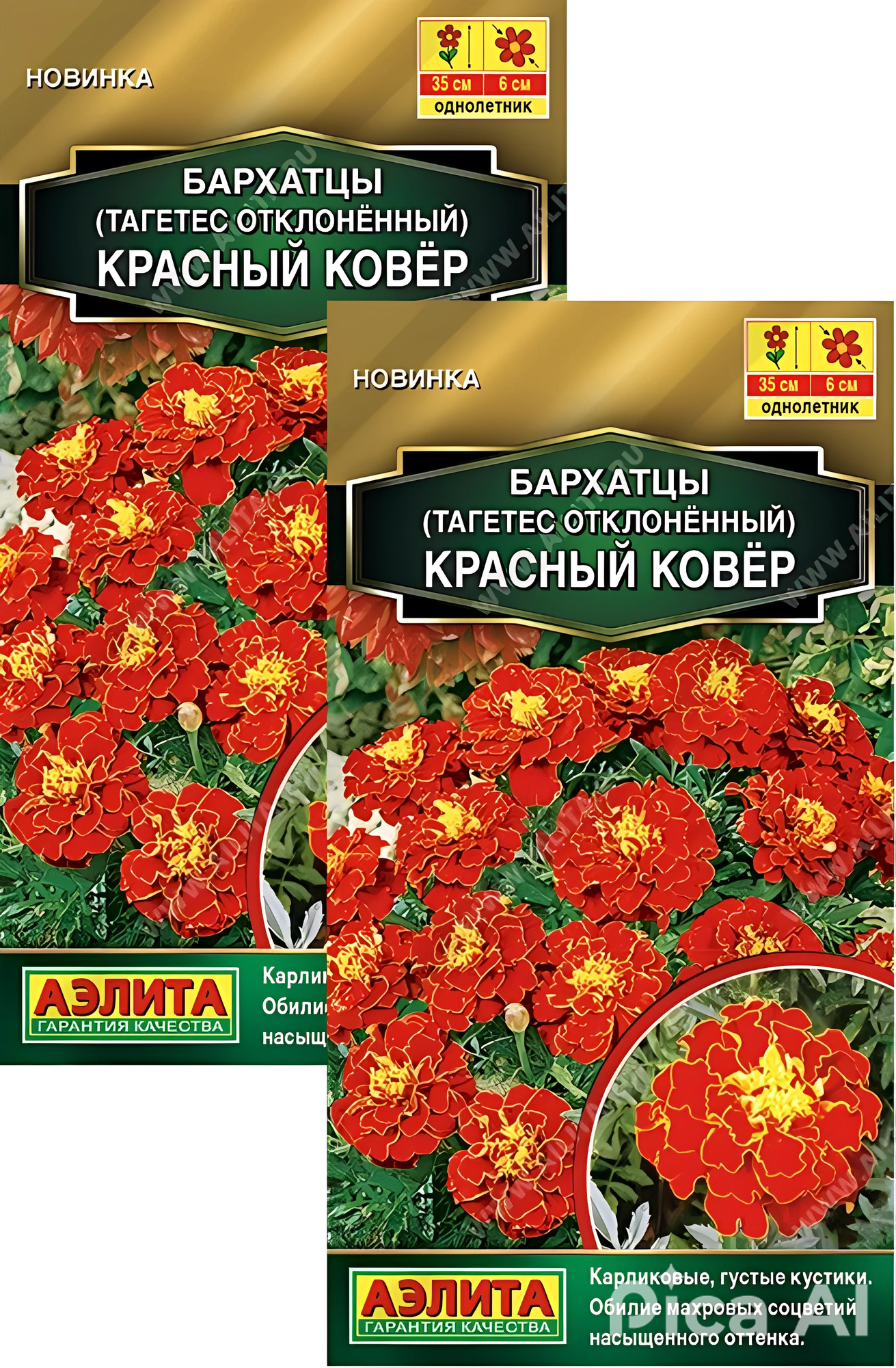 Семена Бархатцы Красный ковер (0,1 г), 2 пакета, Агрофирма Аэлита