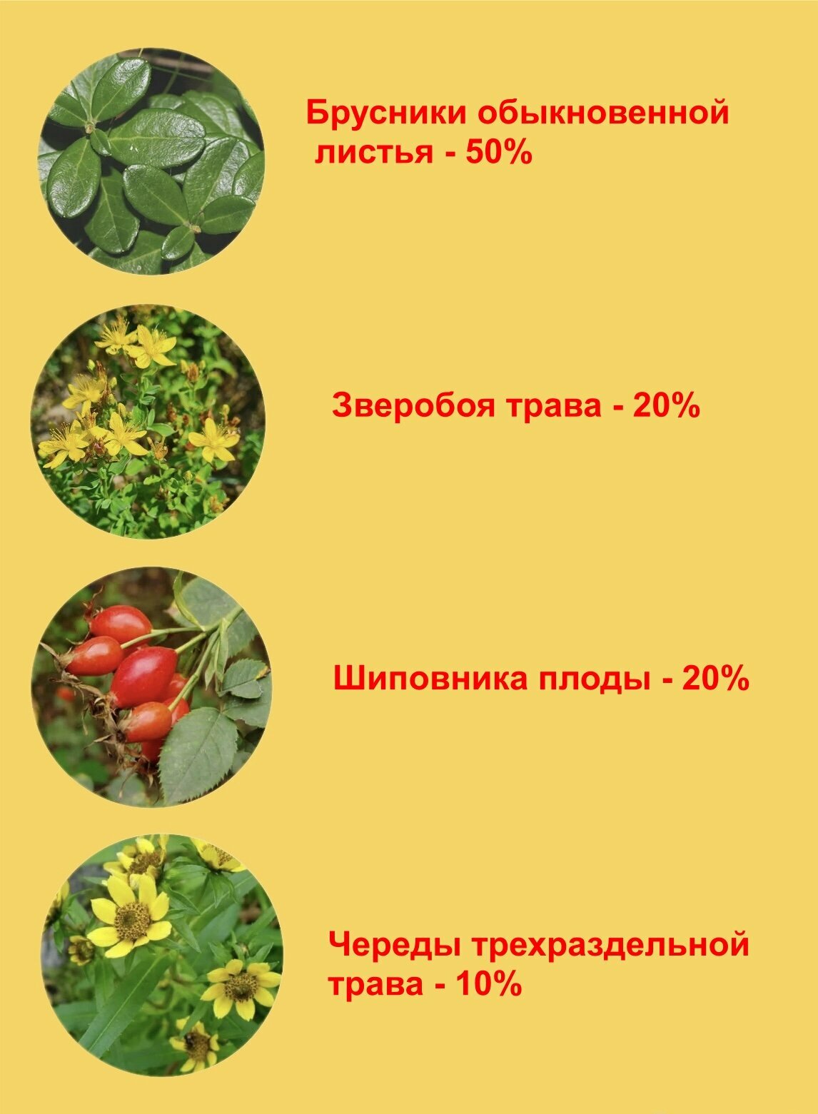 Картинки Травяной сбор "Бруснивер" Фармацвет, урологический, 20 пакетов
