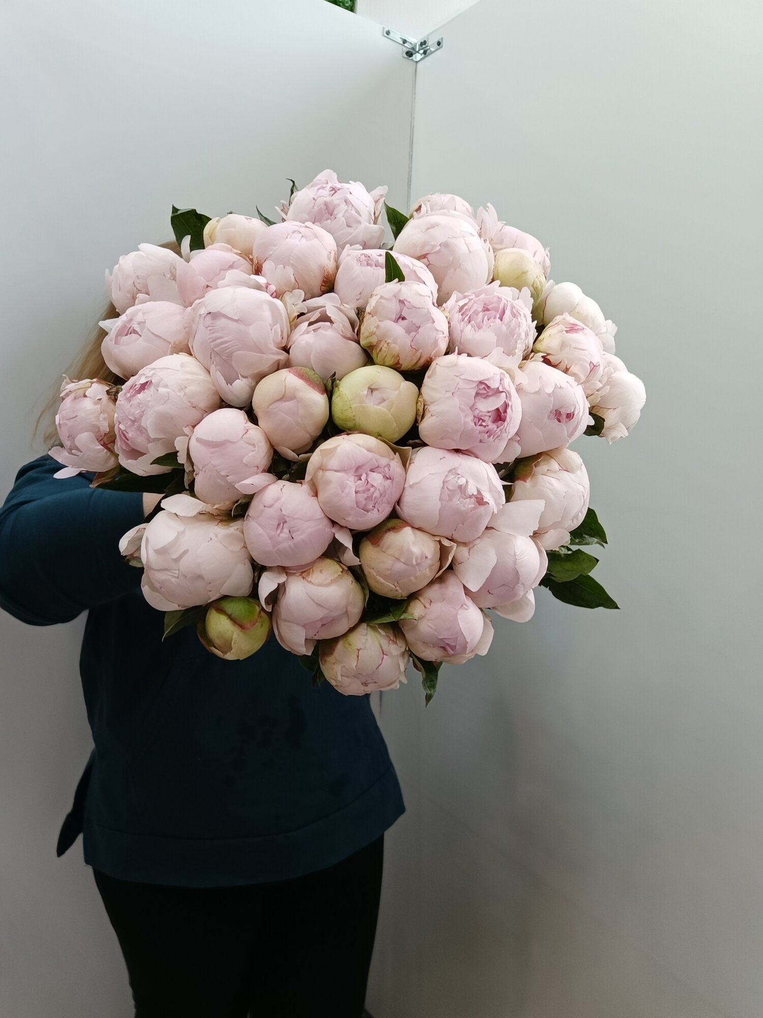 Монобукет "Охапка пионов" нежно розовые 28 штук высота 50см