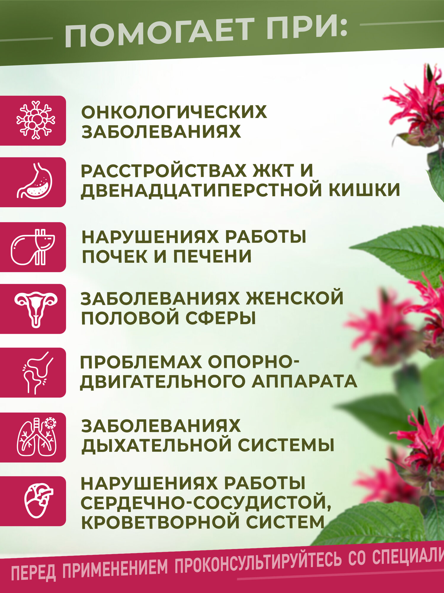 Картинки Экстракт Сабельника болотного - Безалкогольный - Растительный жидкий экстракт для суставов, 200 мл