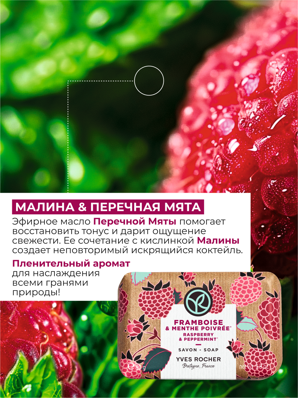 Картинки Yves Rocher Мыло твердое туалетное для рук Малина и Мята