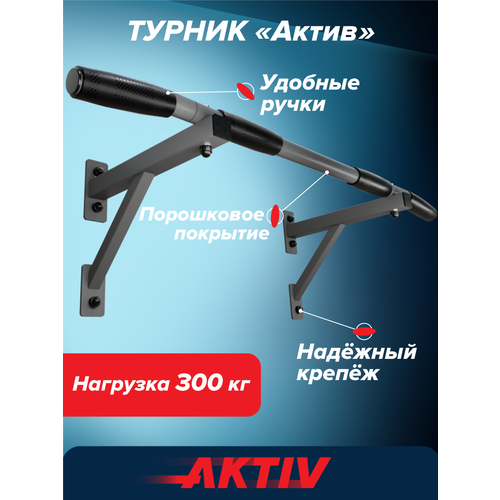 Турник настенный для дома Aktiv разборный графит Absolute Brilliance