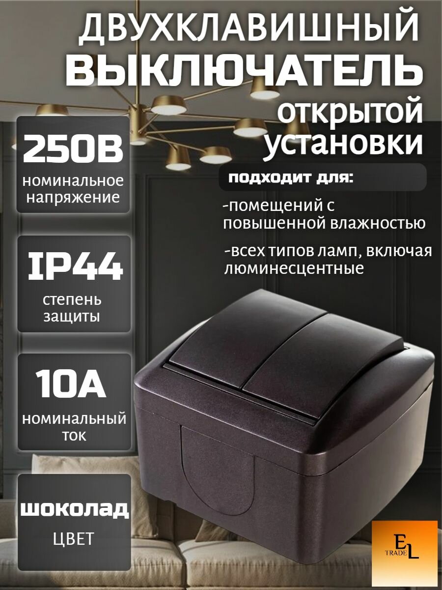 Выключатель двухклавишный открытой установки IP44,10А, 250В, шоколад, Селигер