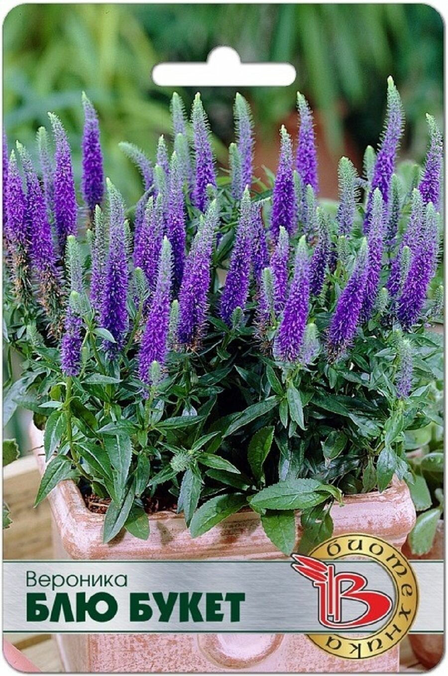 Вероника Блю Букет   500 семян Биотехника