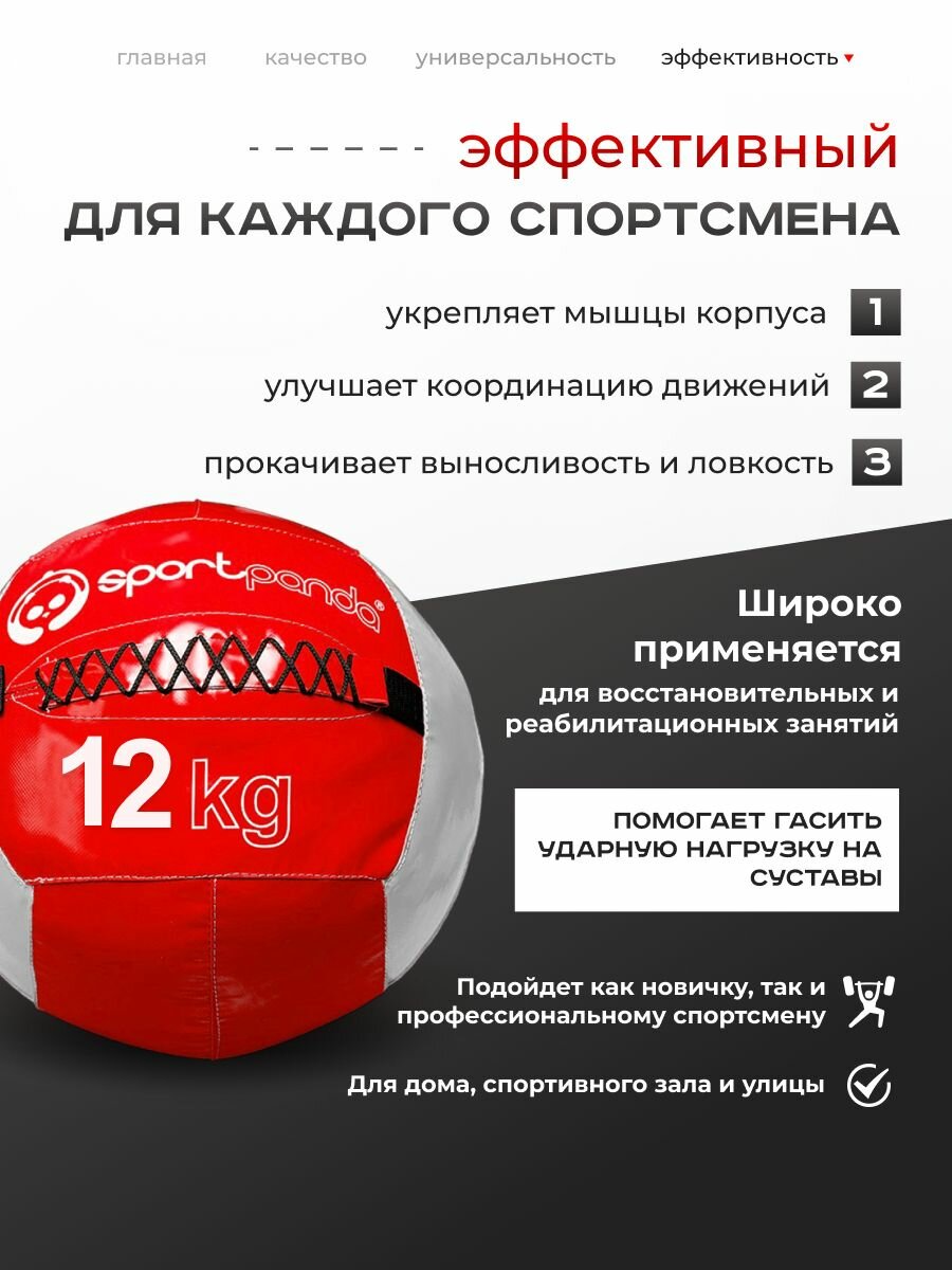 Медбол SportPanda, ПВХ, диаметр 38 см, 12 кг, армированные швы — фото 1