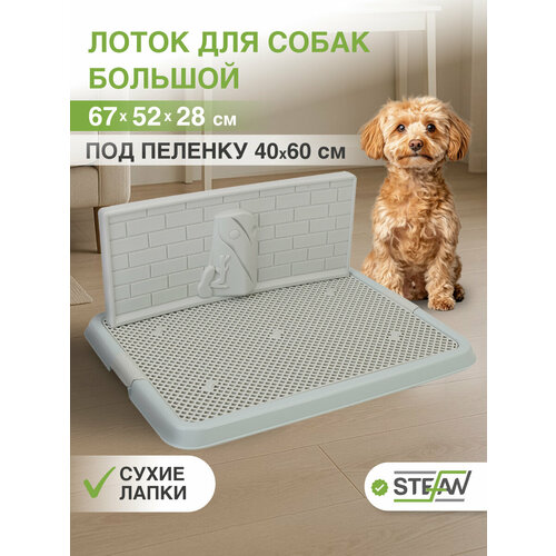 Туалет-лоток со стенкой для собак мелких и средних пород, большой STEFAN (Штефан), размер 67х52х28, BP1318G, серо-голубой