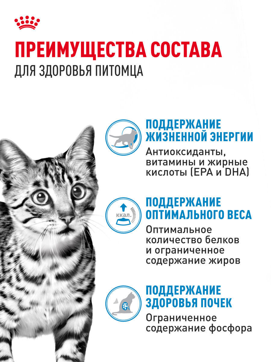 Royal Canin INDOOR STERILISED 7+ (ИНДОР СТЕРИЛАЙЗД 7+) Корм консервированный полнорационный для кошек (в возрасте от 7 до 12 лет), живущих в помещении, мелкие кусочки в желе, 28 шт по 85г — фото 1