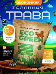 Газонная трава семена Eco Green \ Эко Грин 5кг Экономный, многолетнее