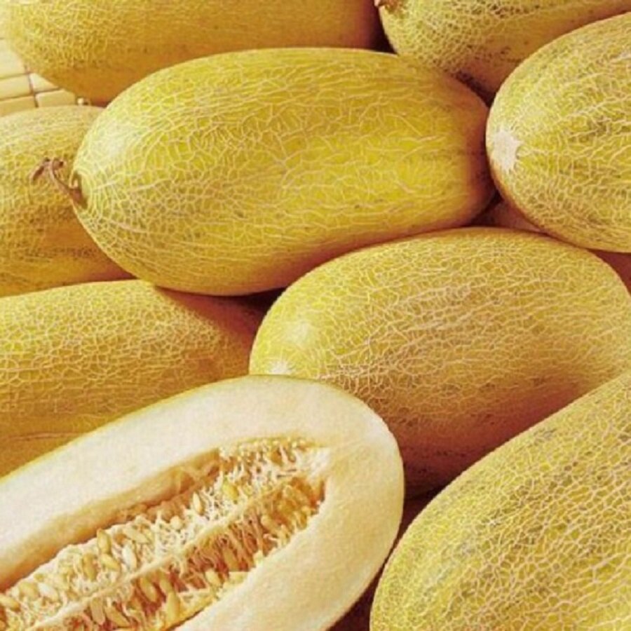 Семена Deodar SEEDS COMPANY Дыня Торпеда 10 шт.