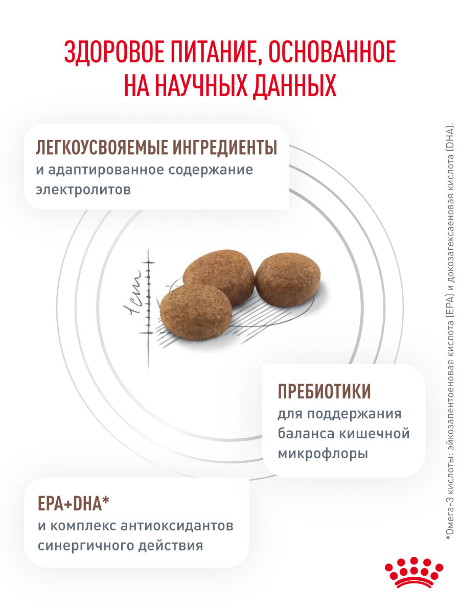 Сухой корм для собак Royal Canin Gastrointestinal Low Fat для мелких пород при склонности к избыточному весу, 3 кг — фото 1