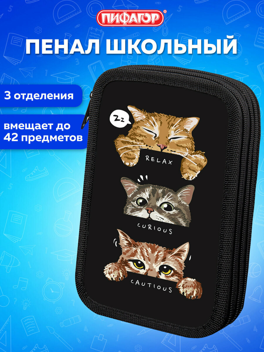 Пенал школьный для карандашей и ручек с 3 отделениями, канцелярия для школы, ламинированный картон, 19х11 см, Пифагор Cool trio, 273486