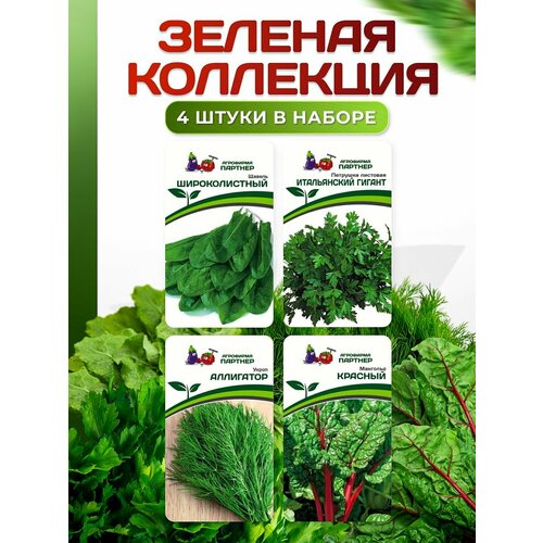 Набор семян: Зеленая коллекция - Мангольд Красный, Щавель Широколистный, Петрушка Итальянский гигант, Укроп Аллигатор