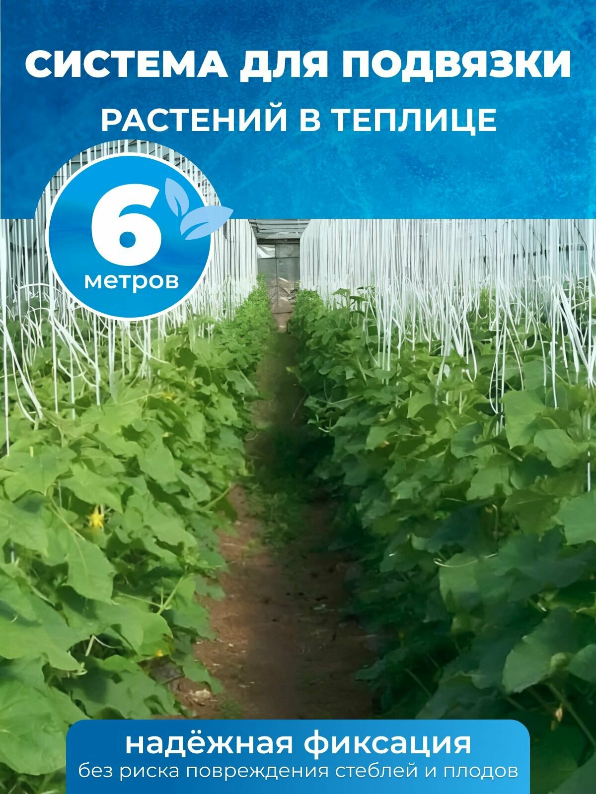 Система для подвязки растений в теплице 6м