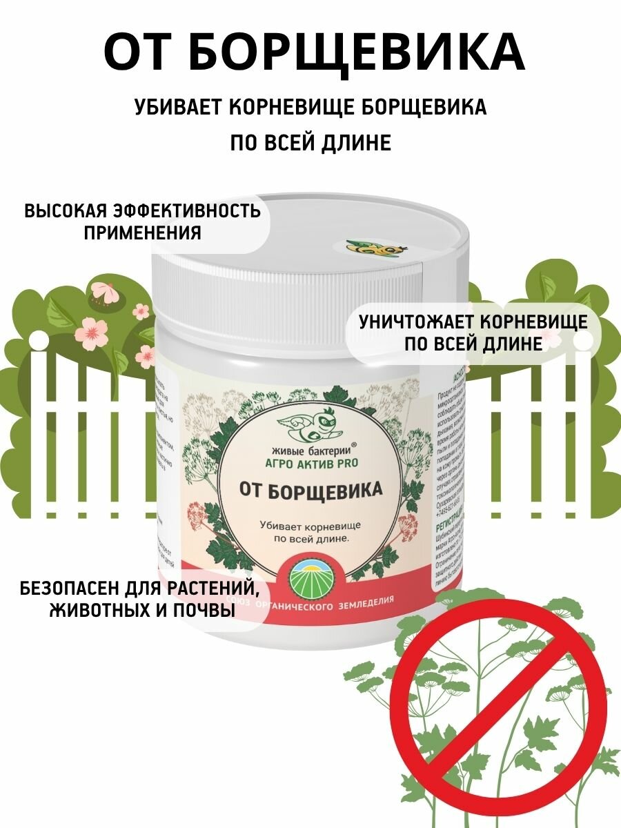 Гербицид средство Агро Актив PRO Живые бактерии от борщевика и сорняков биопрепарат 300 г