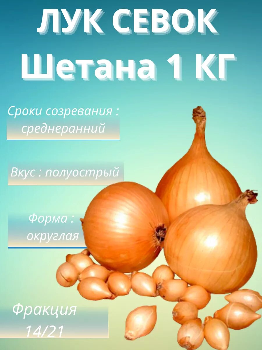 Лук севок Шетана 1 кг