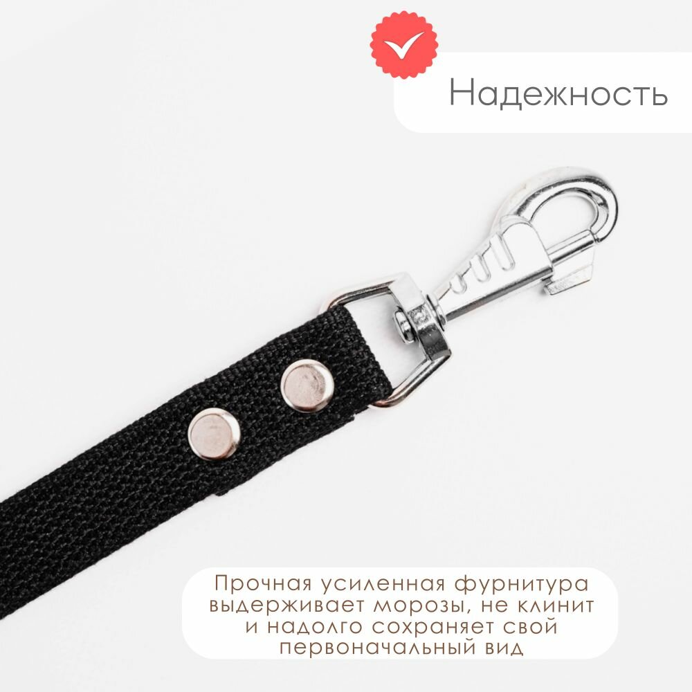 Поводок Хвостатыч для собак крупных пород брезент с карабином 5 м х 25 мм (черный) — фото 1