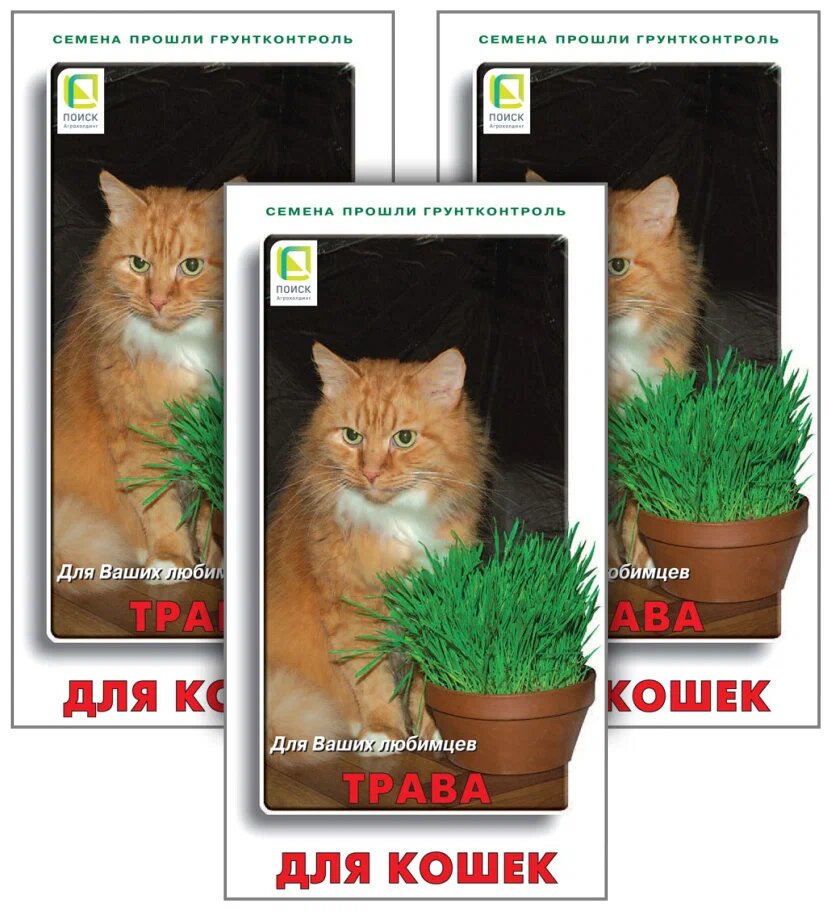Семена Трава для кошек "ПОИСК", для животных, быстрорастущая 10 г — фото 1